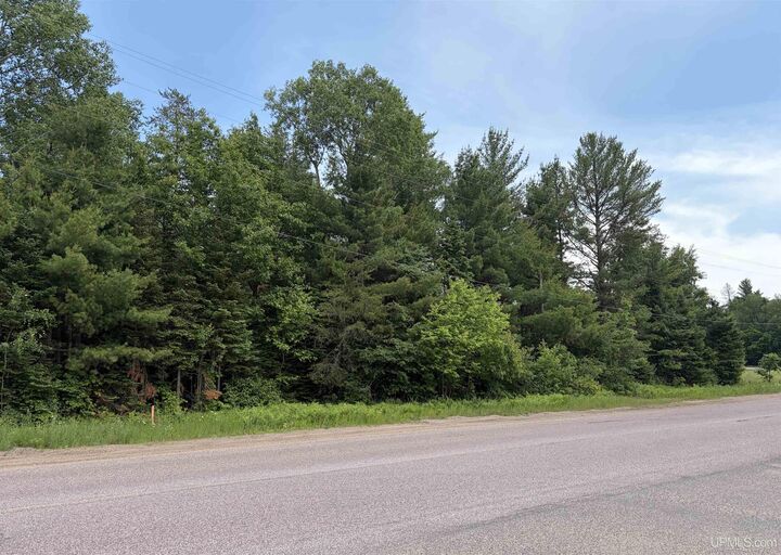 Property Photo:  Tbd Westwood Drive  MI 49849-0000 