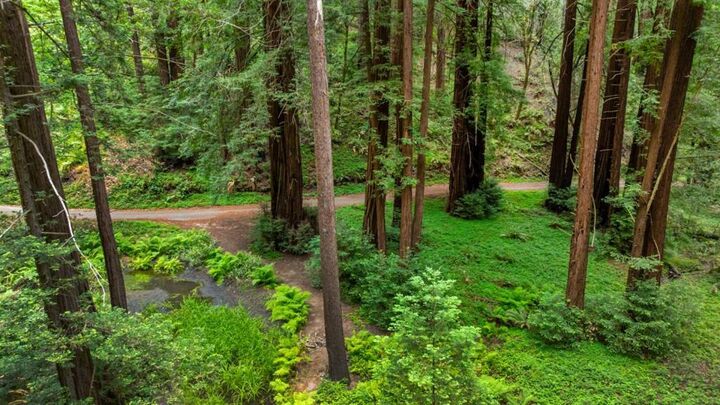 Property Photo:  27 Willis Road  CA 95066 