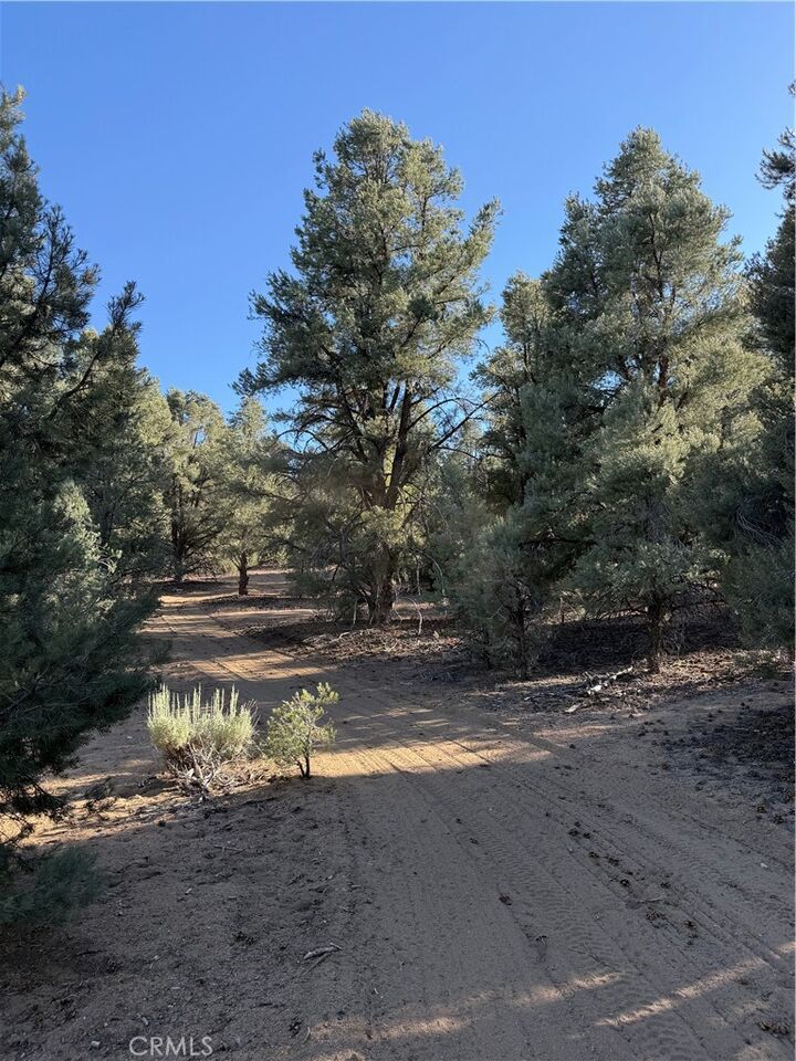 Property Photo:  0 310-240-020 Grumpy Bear Trail  CA 93527 