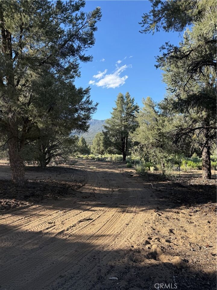 Property Photo:  0 310-240-020 Grumpy Bear Trail  CA 93527 