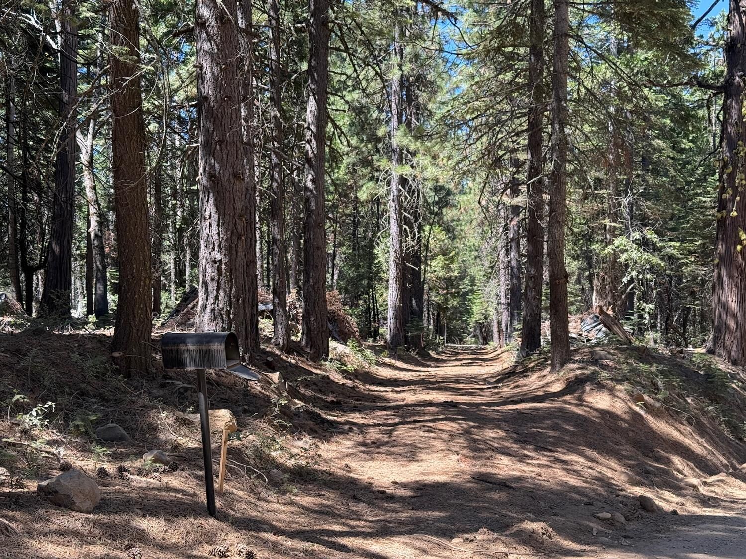 Property Photo:  30457 N Bloomfield-Graniteville Road  CA 95959 