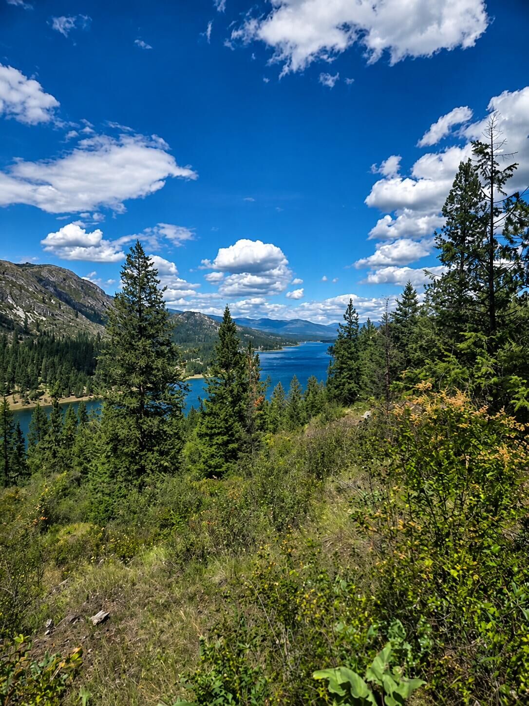Property Photo: 3634 Highway 25 N WA 99157