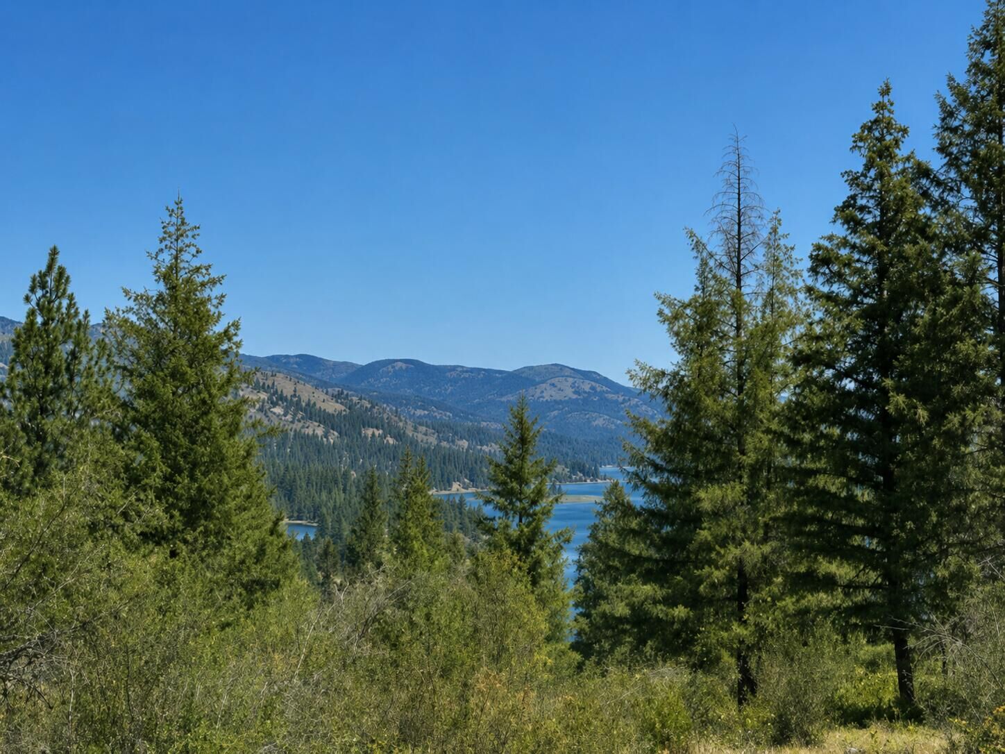 Property Photo:  3634 Highway 25 N  WA 99157 