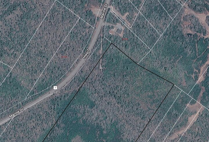 Property Photo:  0 Highway 7  NS B0J 2L0 