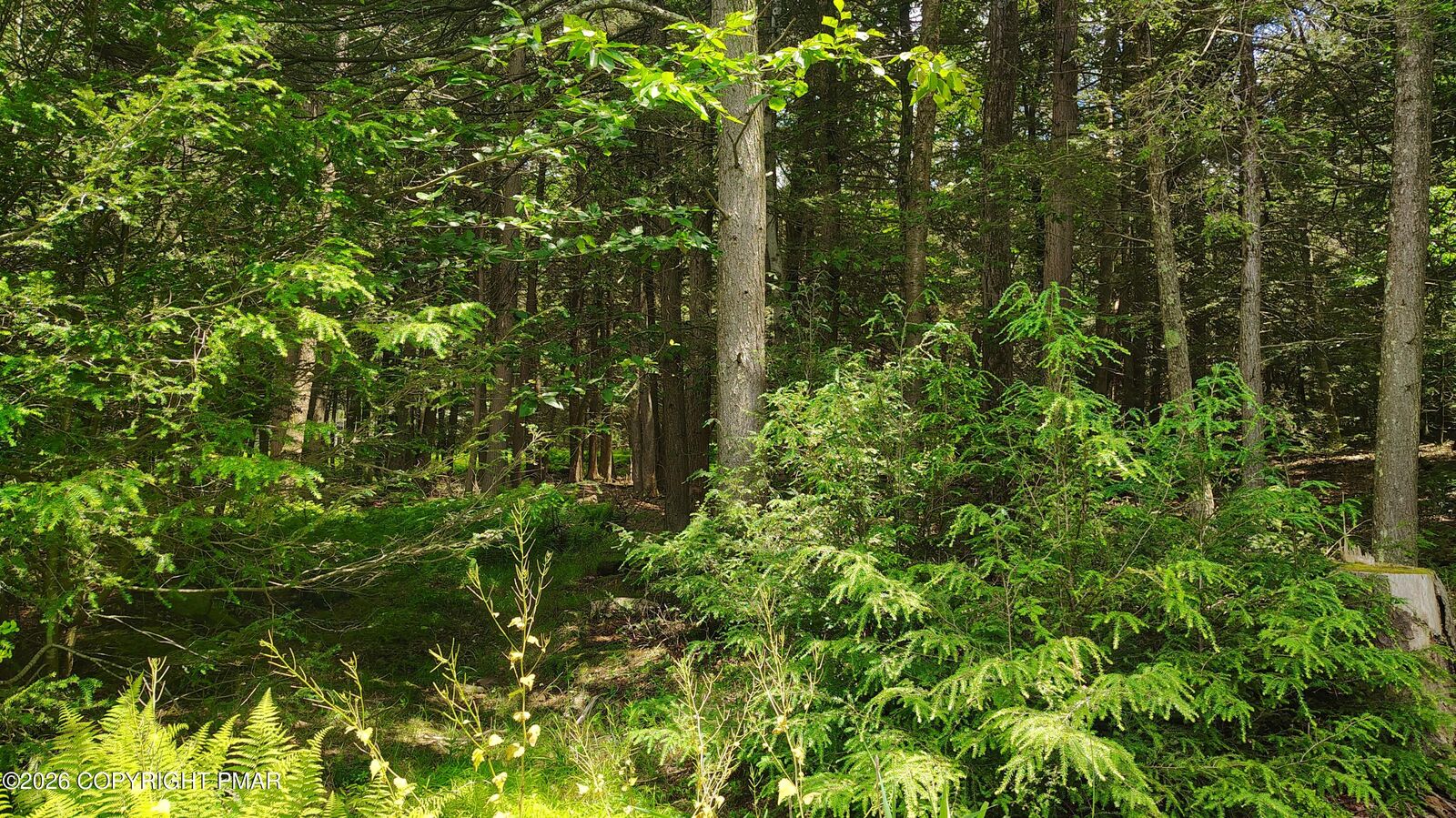 Property Photo:  Somerset Dr 14  PA 18466 