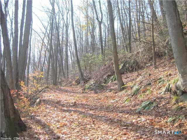 Property Photo:  168 Cascade Ridge  CT 06489 