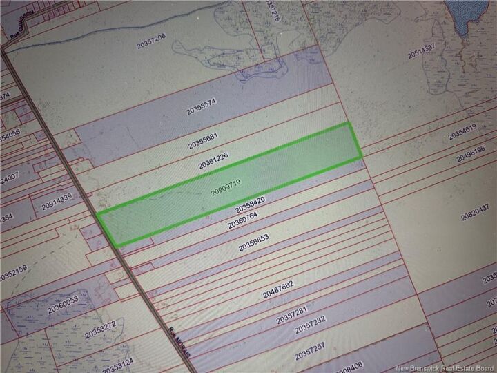 39.27 Acres Rue Morais — photo 1