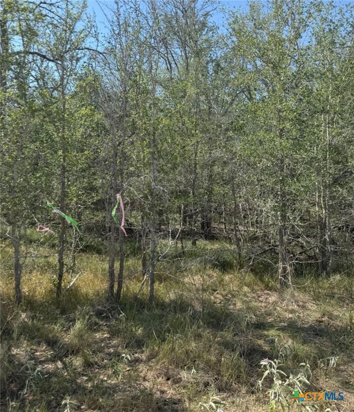 Property Photo:  421 Kerr Avenue  TX 78161 