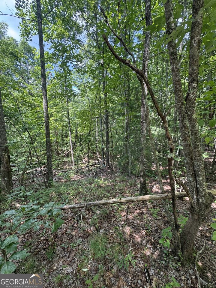 Property Photo:  Tr 3,4 Lakeland Drive  GA 30540 