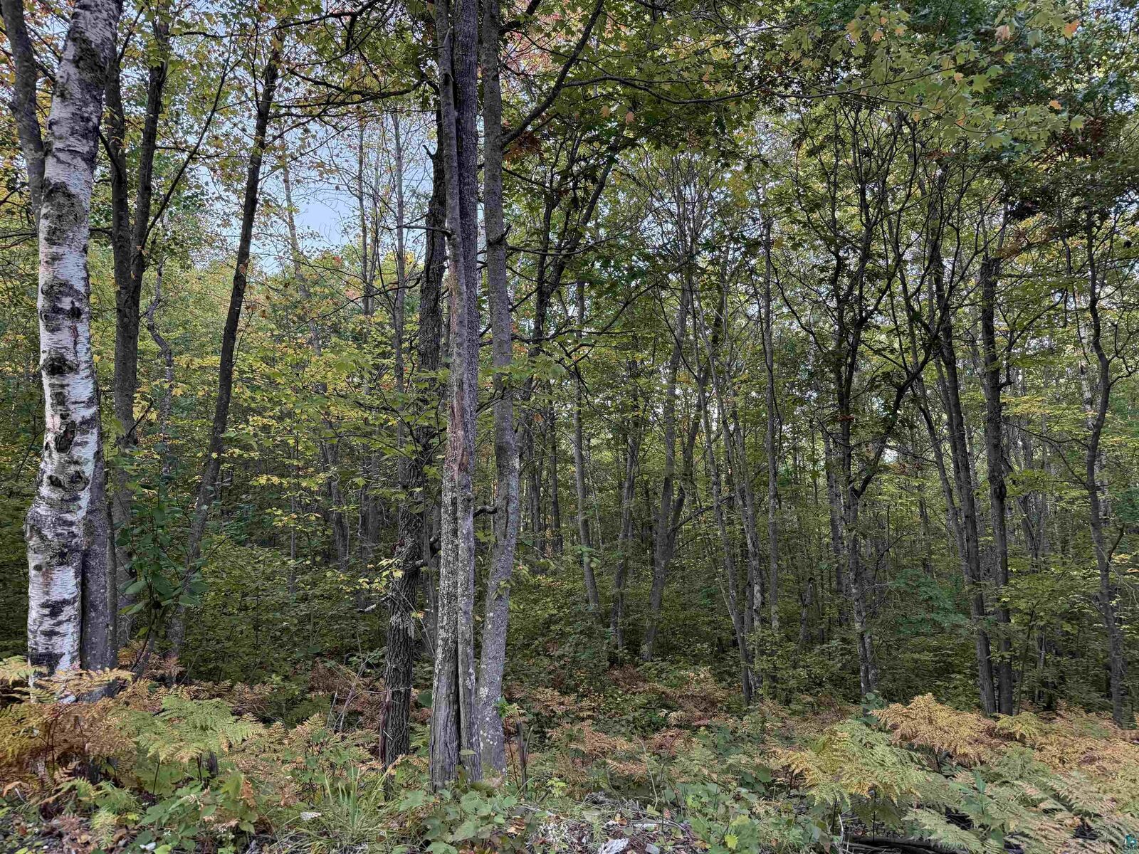 Property Photo:  000 Highway 2  WI 54847 
