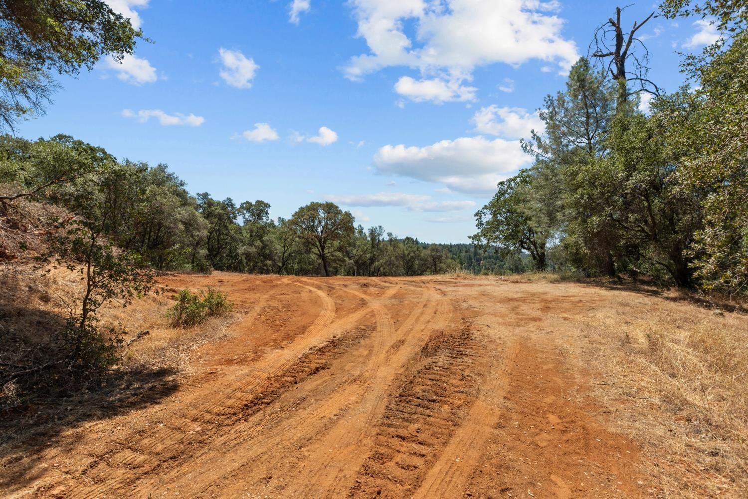 Property Photo:  22131 Deer Trail Court  CA 95602 