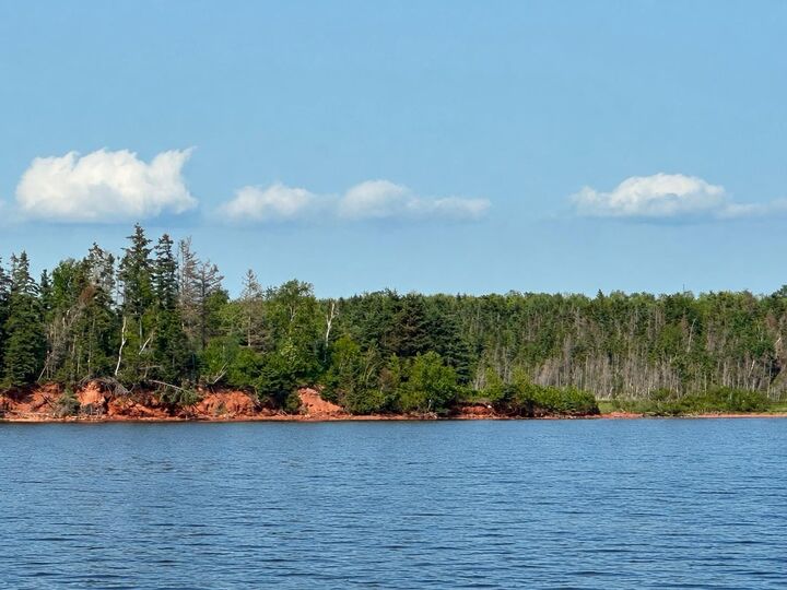 Lot Pinette 62337 &Amp 627190 — photo 1
