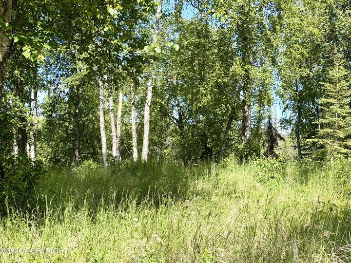 Property Photo:  125 &Amp 129 Judy Lane  AK 99669 