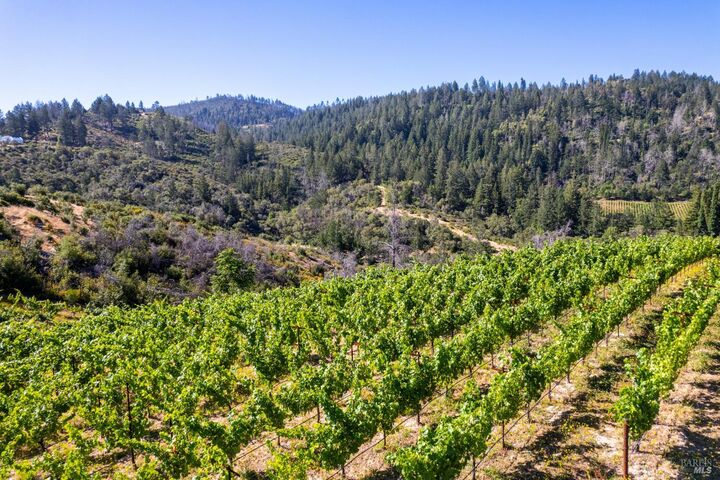 Property Photo: 0 Diamond Mountain Road CA 94515