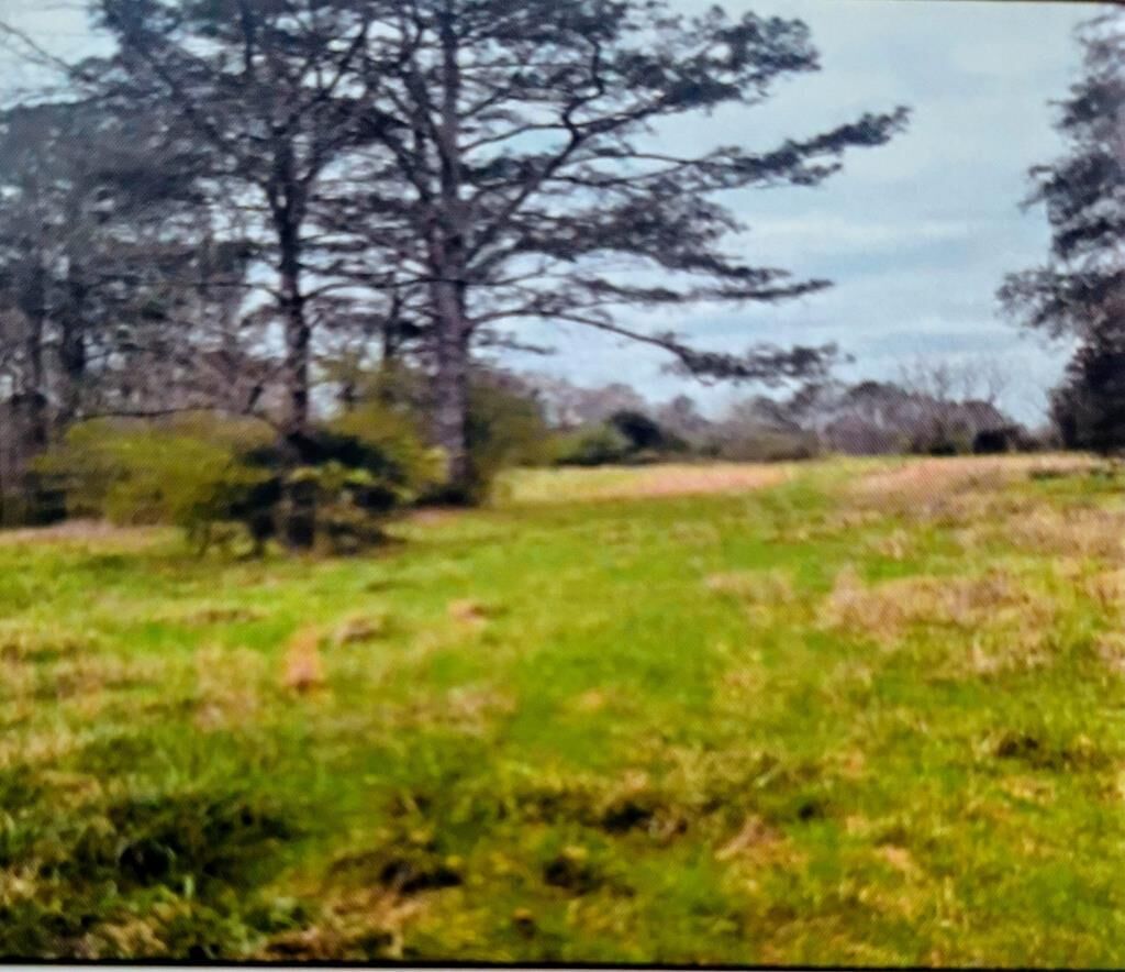 Property Photo: 00 Maughtey Chapel Rd GA 30710