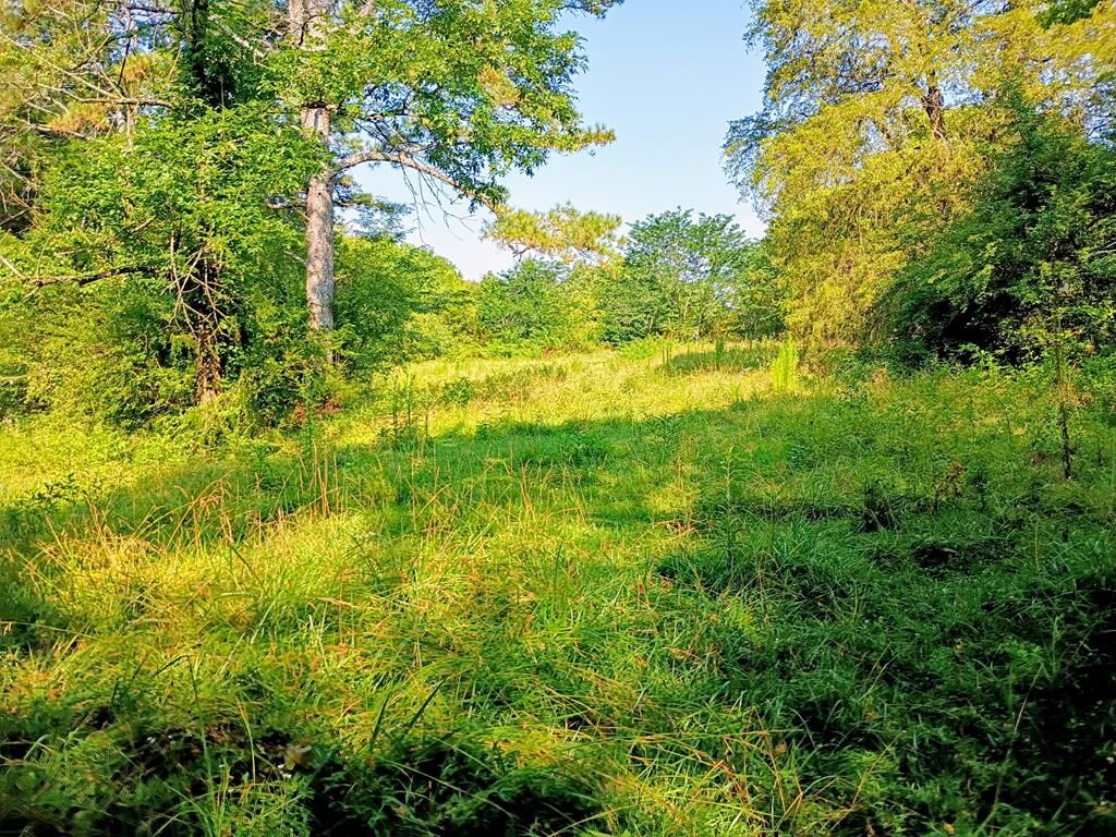 Property Photo:  00 Maughtey Chapel Rd  GA 30710 