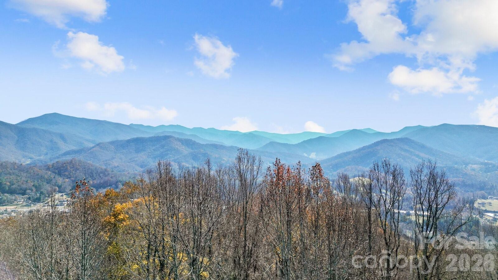 Property Photo:  10 Peacock Lane 19  NC 28714 