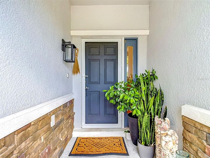 Property Photo: 5324 Riverwalk Preserve Drive FL 34653