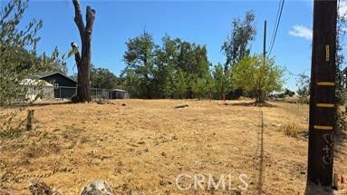 Property Photo:  810 Roe  CA 95969 
