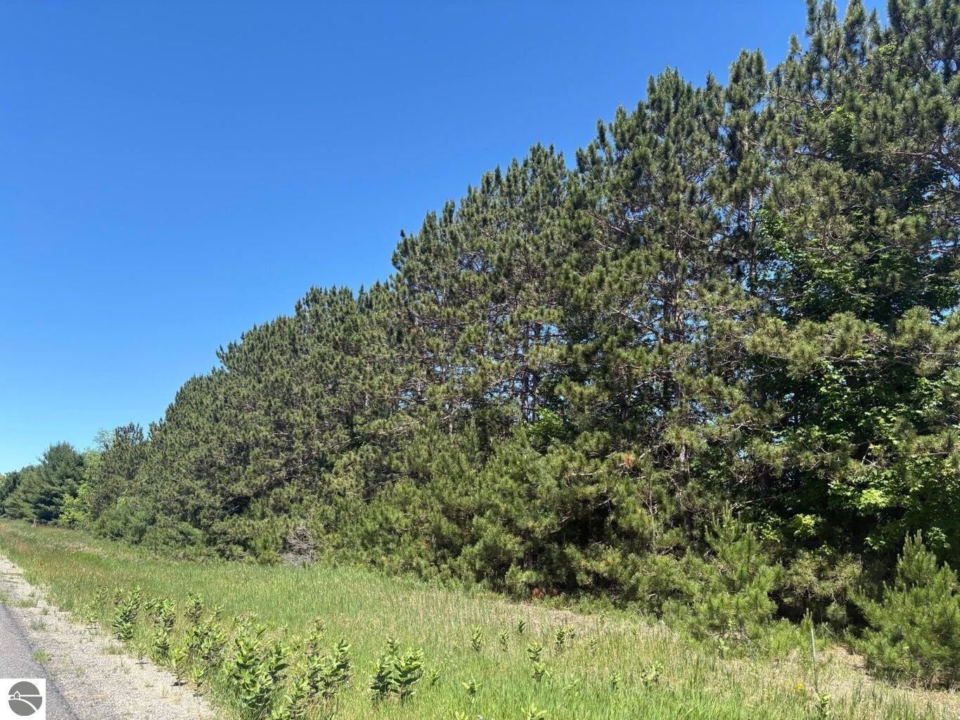 Property Photo: 7.91 Butwell Road MI 49614