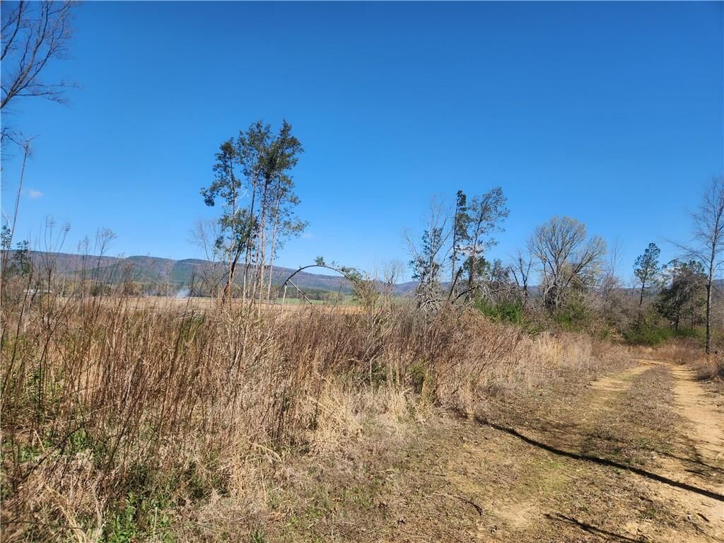 Property Photo:  State Hwy 164  AR 72830 
