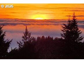 Property Photo: 96422 Alder Ridge Rd OR 97415