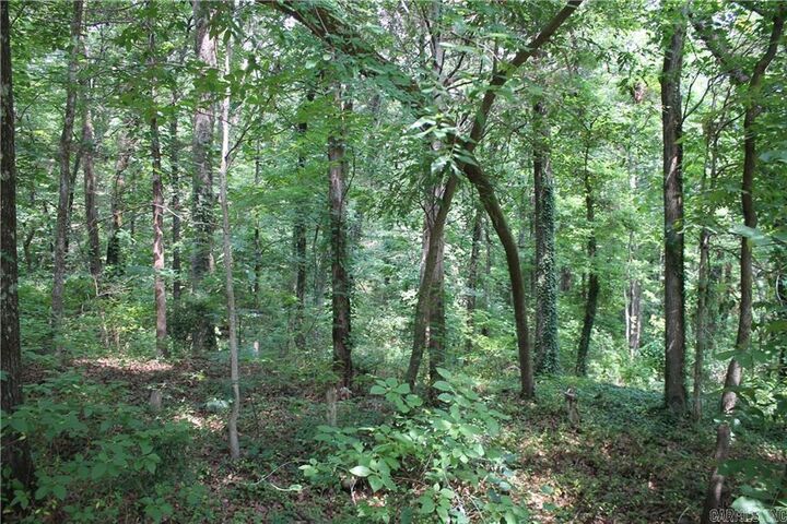 Property Photo:  Lot 42 &Amp 43 Craigwood Circle  AR 72801 