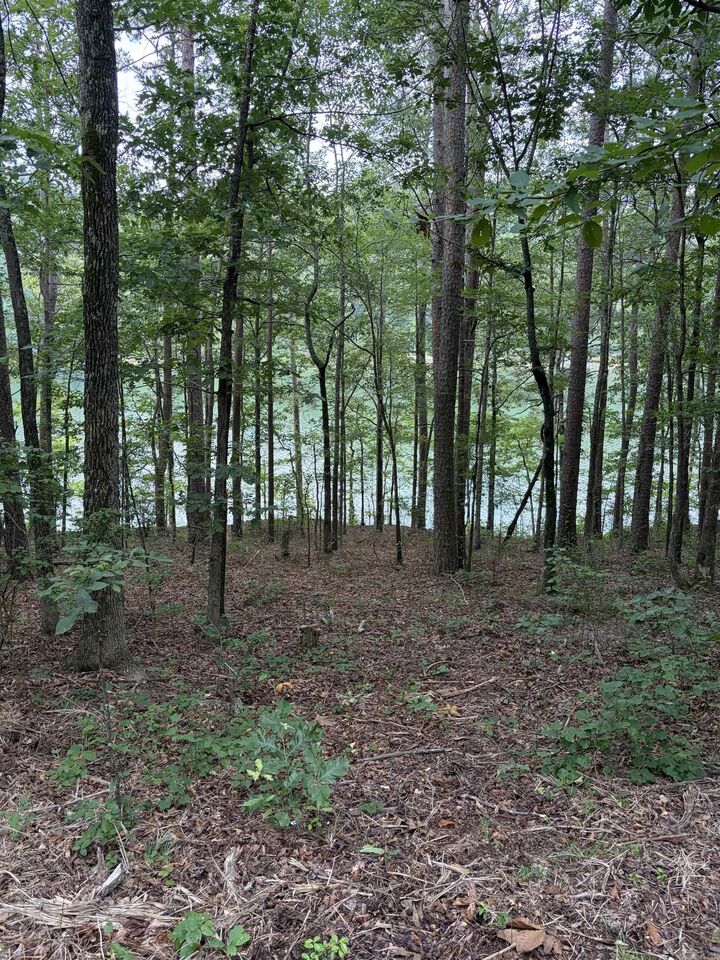 Property Photo: Bear Mountain Rd. AR 72130