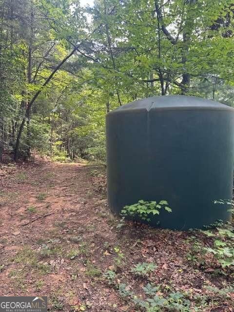 Property Photo:  10.96 Ac Paramount Trail  GA 30536 
