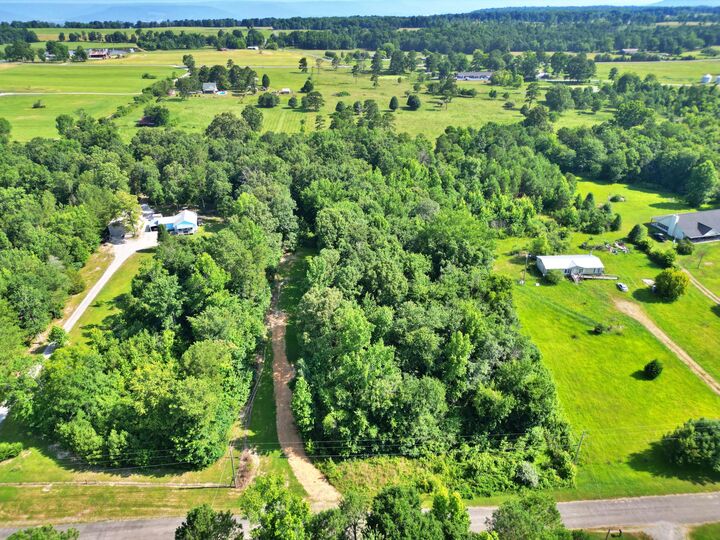 Property Photo:  3.01 Acres County Road 814  AL 35966 