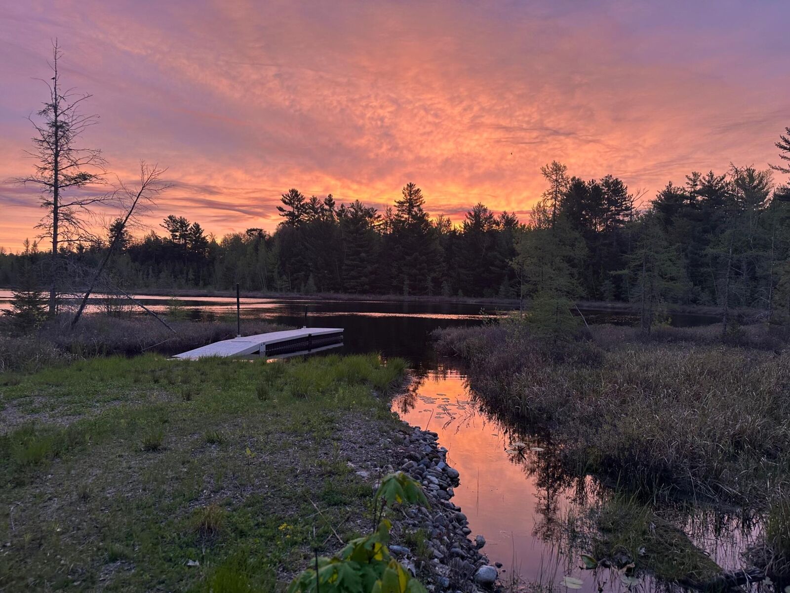Property Photo:  W4601 Olivotti Lake Rd  WI 54442 