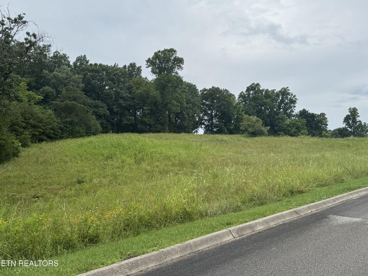 Property Photo:  Lot 50 Melea Lane  TN 37763 