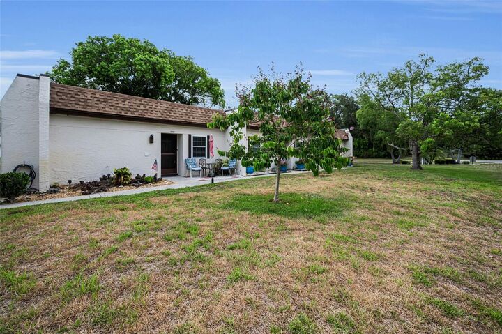 Property Photo: 3097 Mission Grove Drive FL 34684