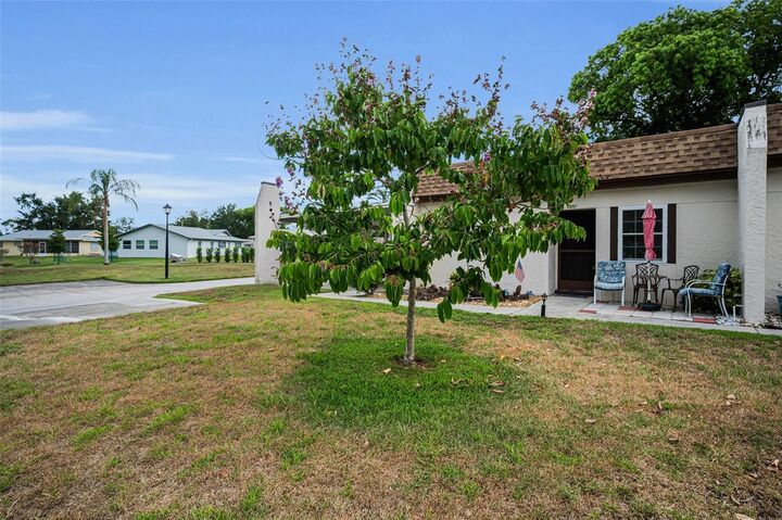 Property Photo:  3097 Mission Grove Drive  FL 34684 