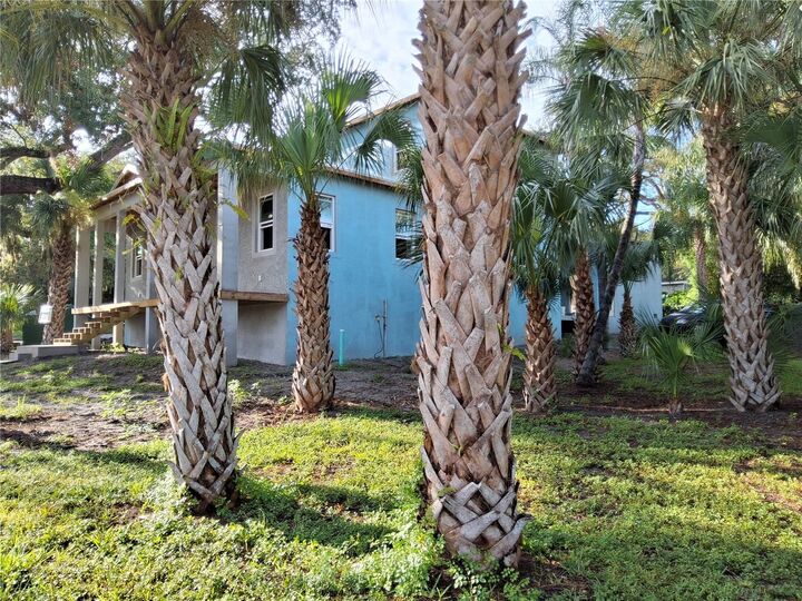 Property Photo:  383 Georgia Avenue  FL 34681 