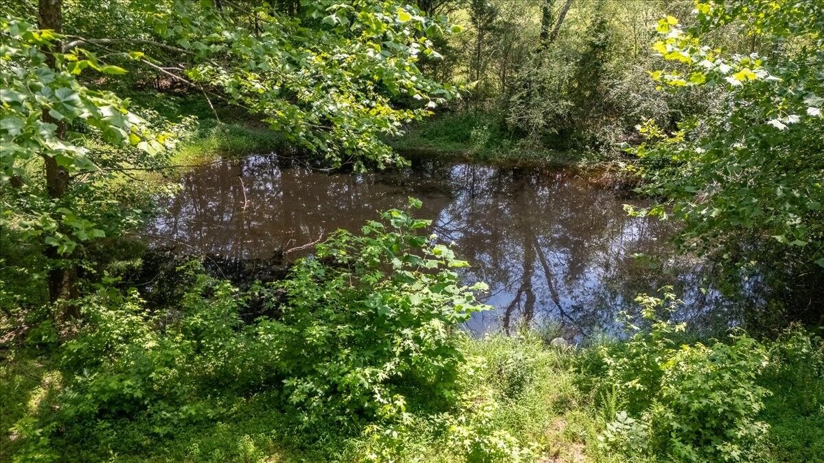 Property Photo: 2548 Highway 43 N TN 38468