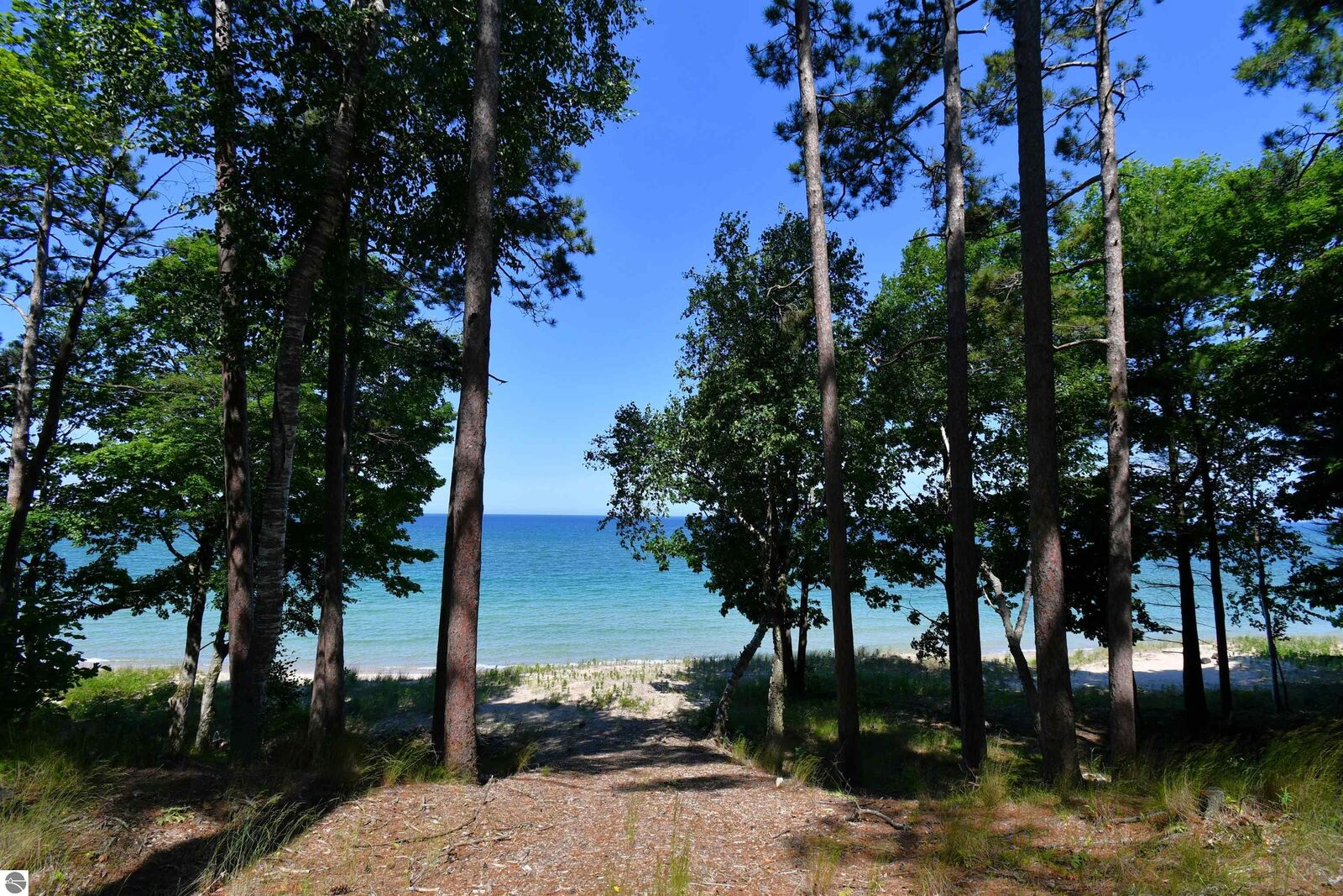 Property Photo:  0000 Mt McSauba Road  MI 49720 