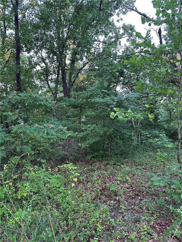Property Photo: Tbd Denver Lane AR 72714