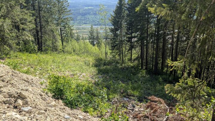 3483 Highway 95 Site #12, 13, 14 — photo 1