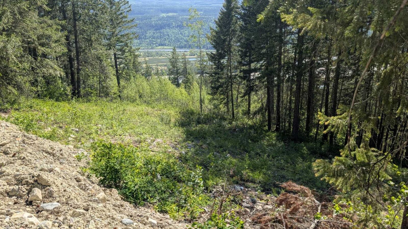 Property Photo:  3483 Highway 95 Site #12, 13 , 14  BC V0A 1A4 
