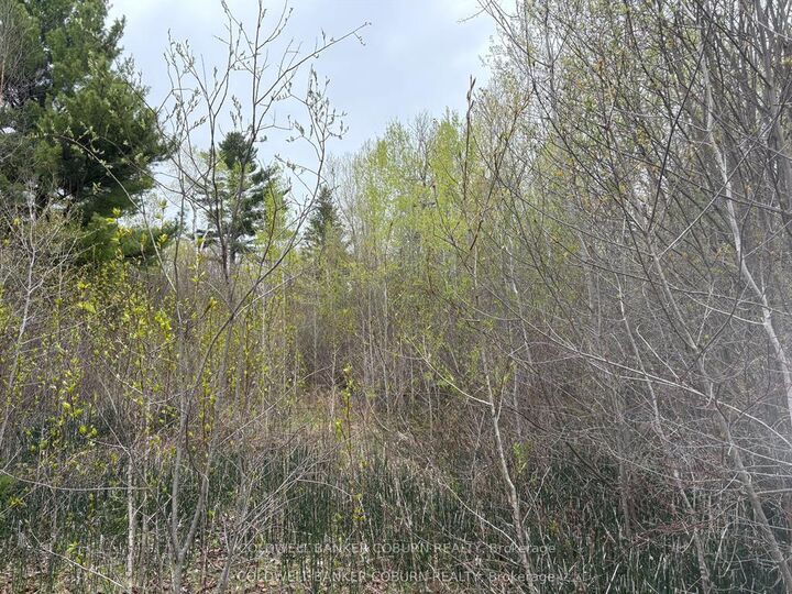 Property Photo: 2035 Ventnor Road ON K0E 1X0