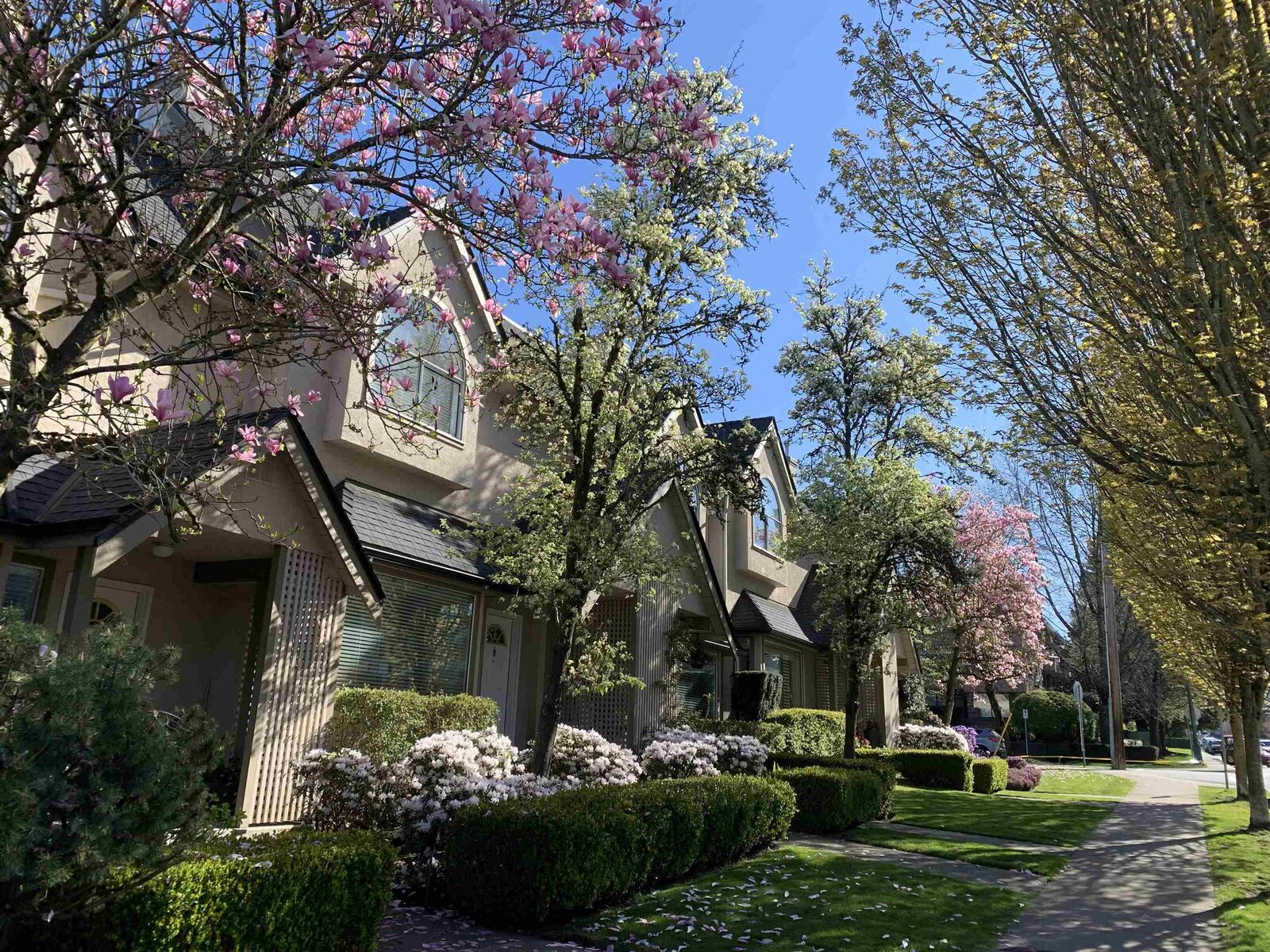 Property Photo: 1701 Chesterfield Avenue 4 BC V7M 2N9