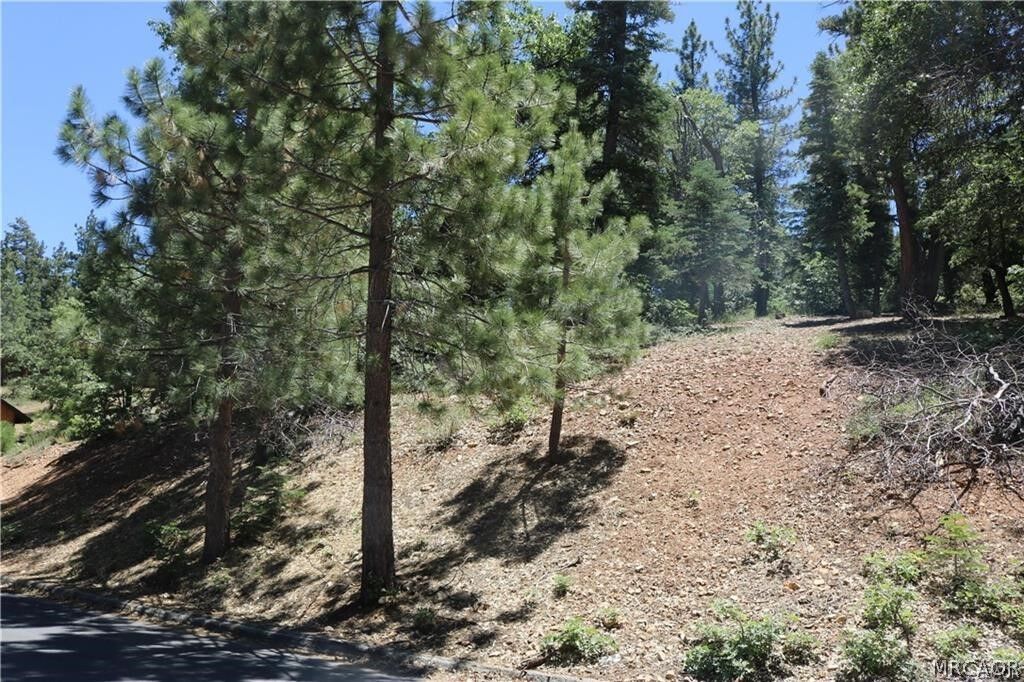Property Photo:  1375 La Crescenta Drive  CA 92314 