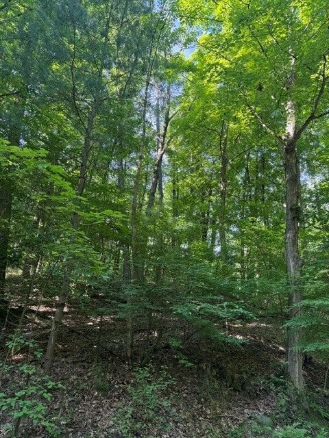 Property Photo: 0 South Glenora Road NY 14837
