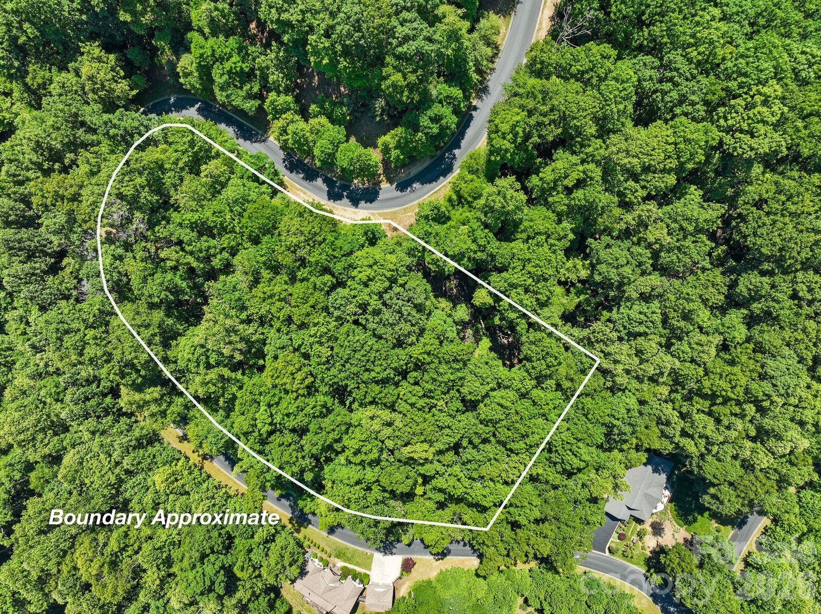 Property Photo:  472 Mills River Way  NC 28742 