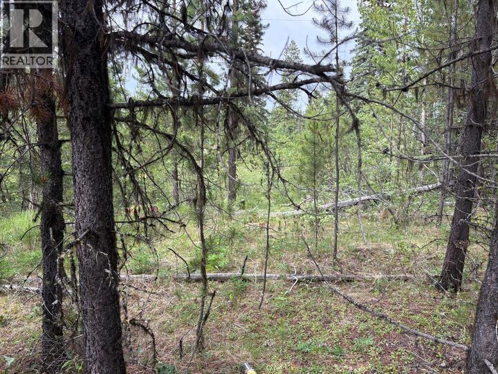Property Photo:  Lot 3 Horse Lake Road  BC V0K 2E3 