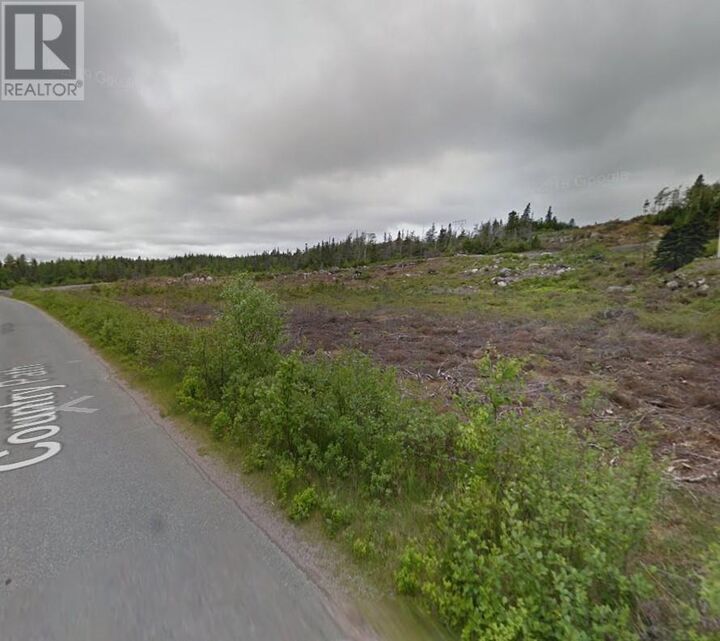 Property Photo:  58 Country Path Road  NL A0A 2R0 
