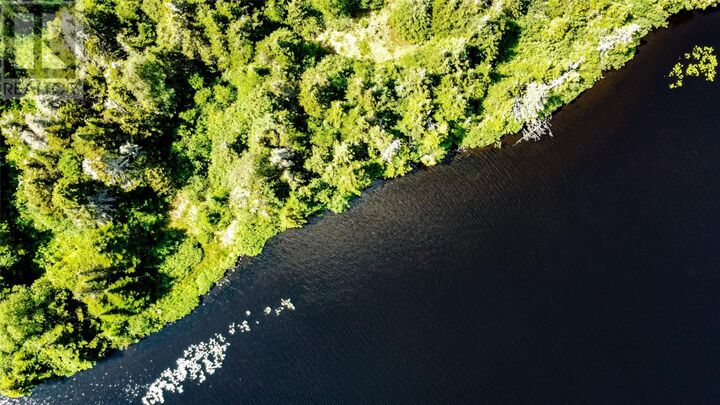 Property Photo:  8 Copperhead Road  NL A1M 2V3 