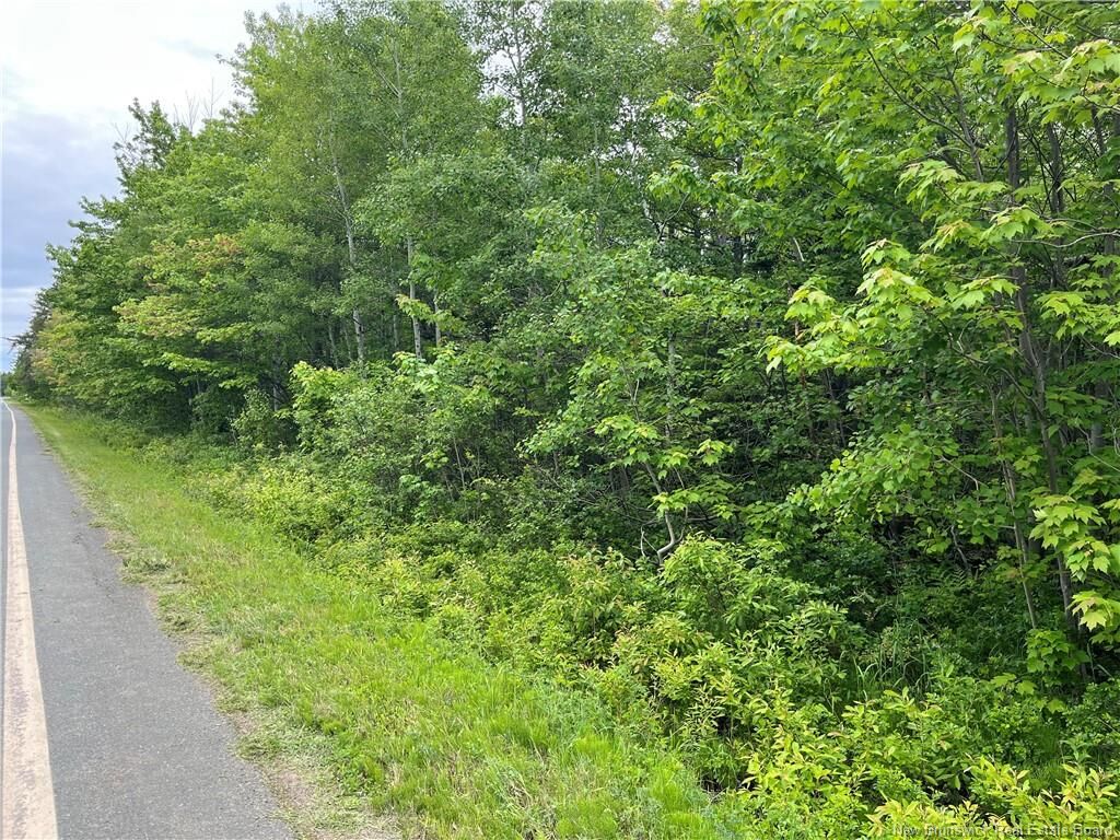 Property Photo:  1446 Chatillon  NB E8N 1R1 