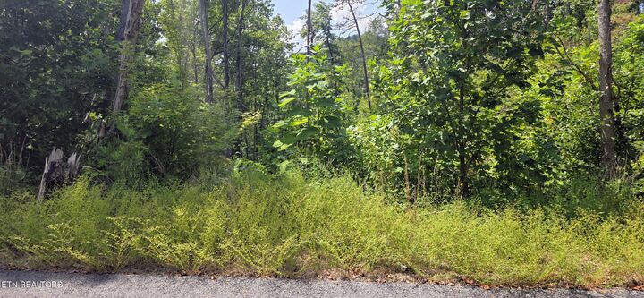 Property Photo:  Lot 14 Sugar Maple Loop Rd  TN 37862 